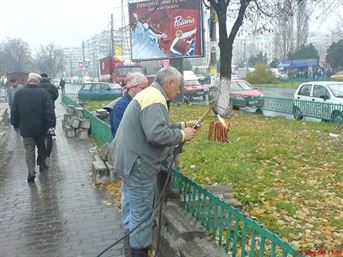 gratar a la romania