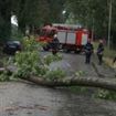 Copaci doborati, drumuri blocate, localitati fara curent si apa potabila, din cauza vantului puternic