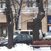 CU OCHII PE INFRACTORI, POLITISTII NU STIU DE GLUMA