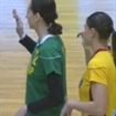Mirela Nichita