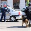Cu ochii pe infractori, politistii nu stiu de gluma Cu ochii pe infractori, politistii nu stiu de gluma