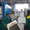 Brailenii care vor participa la campania Gremlin de colectare a deseurilor electrice si electronice vor fi recompensati cu ghivece de flori