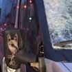 Un accident rutier a curmat viata unei eleve de doar 17 ani Un accident rutier a curmat viata unei eleve de doar 17 ani