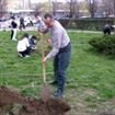 Arbori, arbusti si trandafiri, doar asociatiilor de proprietari care promit ca le vor ingriji Arbori, arbusti si trandafiri, doar asociatiilor de proprietari care promit ca le vor ingriji