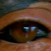 Bizar! Si-a tatuat globii oculari