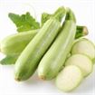 Dovleceii, o leguma gustoasa si un medicament natural Dovleceii, o leguma gustoasa si un medicament natural