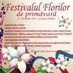 Veniti la Festivalul Florilor! Veniti la Festivalul Florilor!