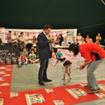 Braila Canin Show, concurs dedicat cainilor cu si fara pedigree Braila Canin Show, concurs dedicat cainilor cu si fara pedigree