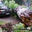 Vijelia din Bucuresti vine spre Braila