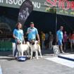 Miss si Mister Canin Show, castigate de cainii jandarmului Casian Mecea