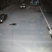 A adormit in mijlocul unei intersectii si a fost ocolit de masini