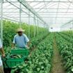 Noutati privind impozitarea activitatilor agricole Noutati privind impozitarea activitatilor agricole
