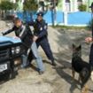 Conflicte aplanate de jandarmi pe timpul noptii