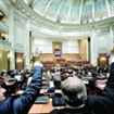 Mihai Danut si Catalin Boboc si-au inceput colaborarea. . . in parlament