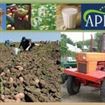 Peste 1.000 de rentieri agricoli asteptati la APIA pentru viza anuala