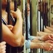 Cu ochii pe infractori, politistii nu stiu de gluma