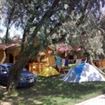 Campingul, solutia de criza pentru vacanta