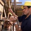Din ce in ce mai putini romani aleg sa se casatoreasca