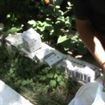 A ascuns in iarba tigarile de contrabanda