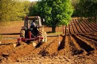 Noul Cod Fiscal, cu aplicabilitate in sectorul agricol