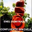 Personala Enel Dumitrascu, la Galeria “Gheorghe Naum”