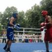 Caravana boxului brailean