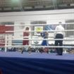 Maraton pugilistic in sala Sporturilor din Braila