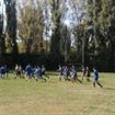 RC Braila – RC Stejarul Buzau 7-10 (0-5)