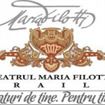 “Divanele Maria Filotti” si Omul perna