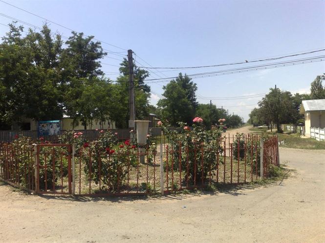 A murit acasa la cateva ore dupa ce fusese batut