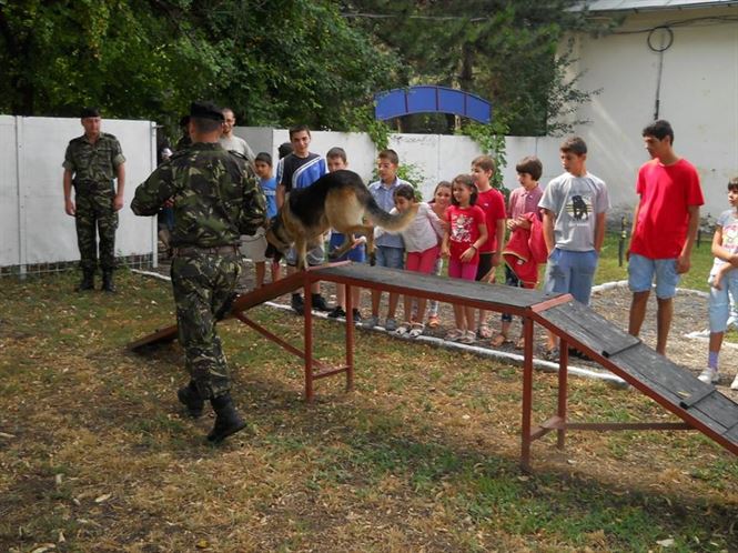 Armata - o scoala altfel