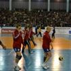 Baia Mare, Brasov si Braila formeaza podiumul Ligii Nationale de handbal