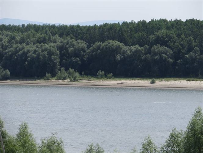 Barbatul inecat sambata in Dunare a fost gasit dupa 48 de ore de cautari