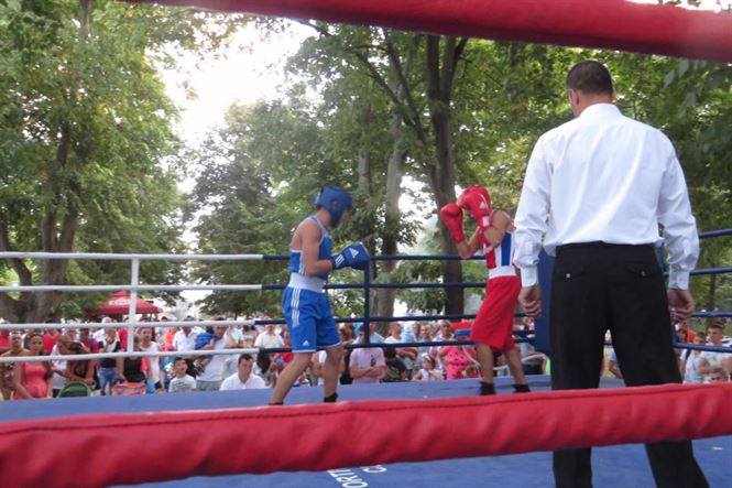 Box in aer liber in Gradina Mare