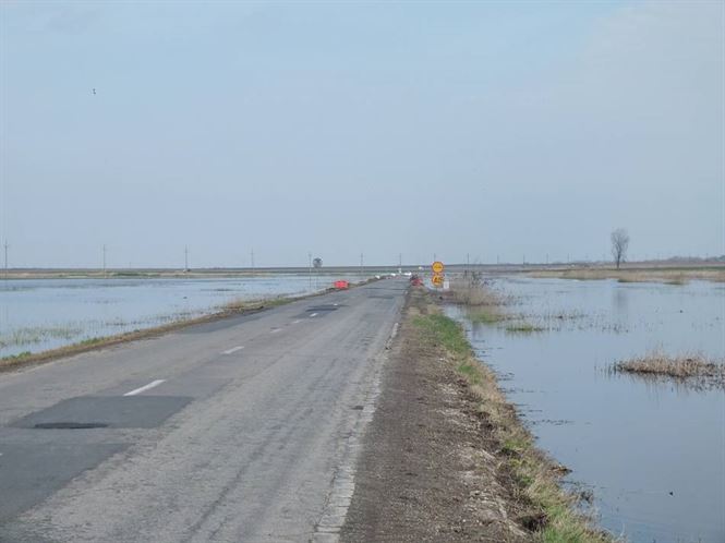 In urma topirii zapezii, mai multe terenuri aricole au fost inundate