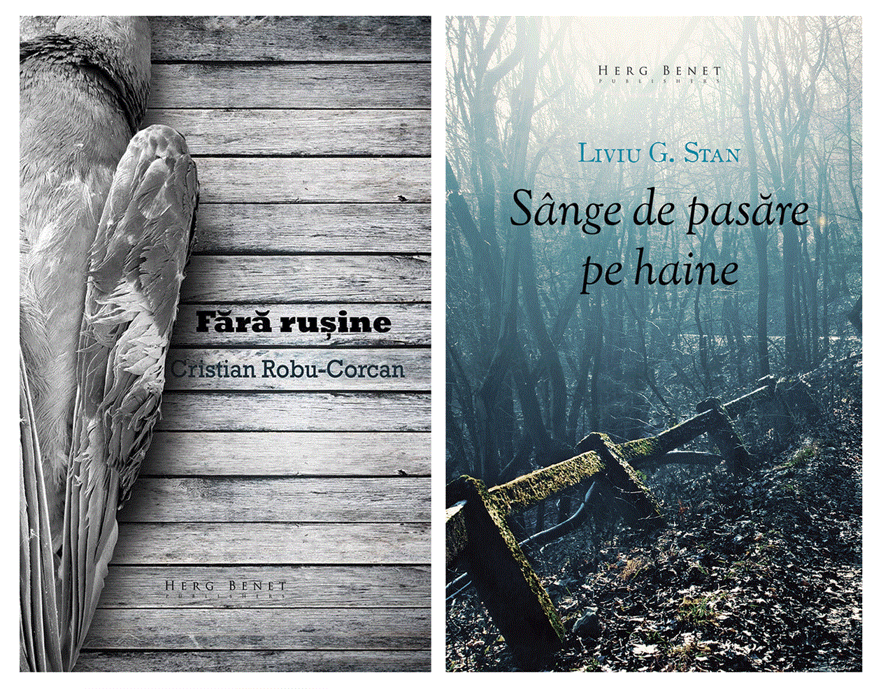 Cristian Robu-Corcan si Liviu G. Stan isi vor lansa ultimele carti la BOOKFEST 2014