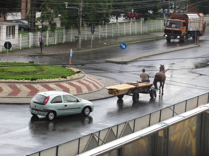 Carutasii, pietonii si biciclistii in vizorul politistilor