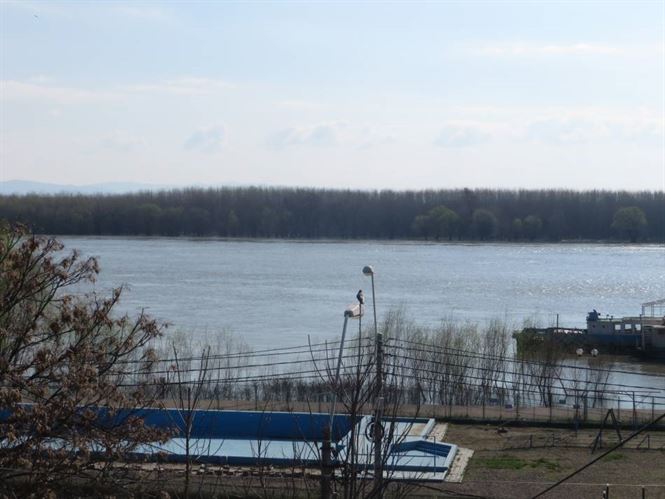 Cod portocaliu pe Dunare, pe sectorul Harsova-Braila