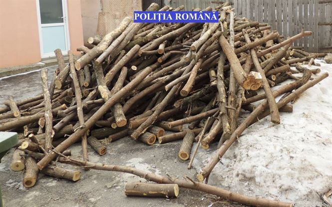 Percheziţii la persoane bănuite de furt de material lemnos
