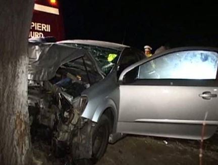 Datorita teribilismului si-a gasit sfarsitul intr-un copac