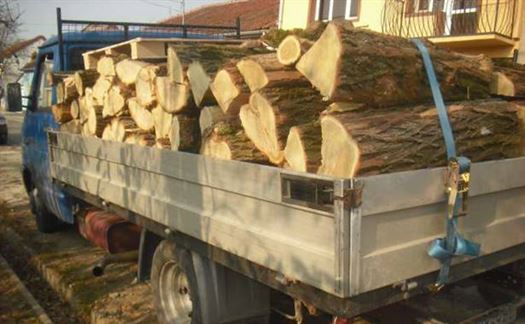 Lemne transportate fără documente, confiscate de către poliţişti