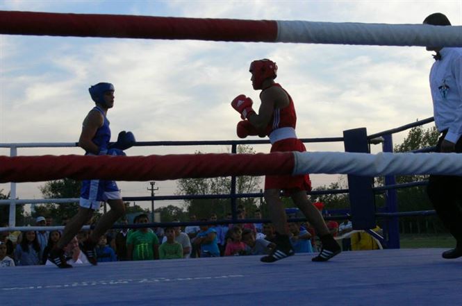 Gala de box la Viziru