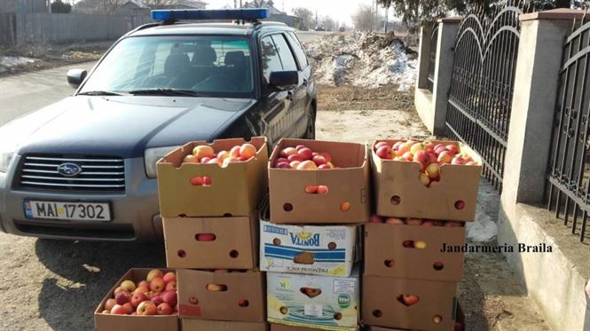 Actiunea jandarmilor pentru combaterea comertului ilicit