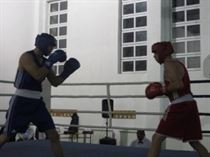 IMG_0304