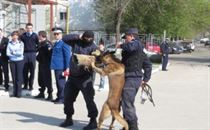 Ziaristii braileni au luat cu asalt jandarmeria