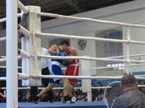 IMG_3247 - Copy