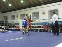IMG_3340 - Copy