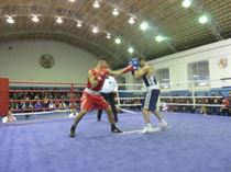 IMG_3378 - Copy