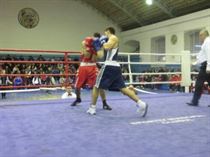 IMG_3383 - Copy