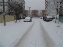 IMG_3504